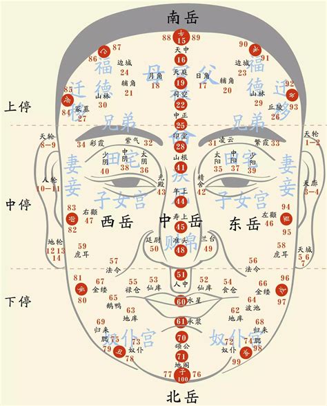 48歲面相|1到100歲，面相流年氣運圖教你如何看自己的面相